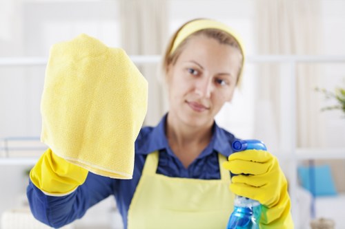 Customer raising a carpet cleaning complaint for review