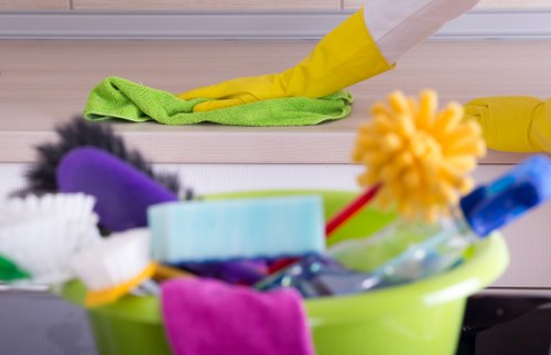 Enzyme treatment for pet urine stains in Kings Cross home