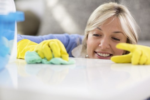 Upholstery cleaning process for a fabric sofa