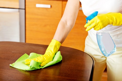 Technician carrying out specialist carpet cleaning in a home